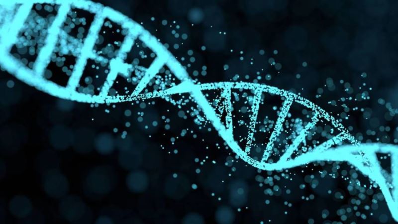 DNA; sudan, nefesten ya da ayak izinden toplanabilir mi?