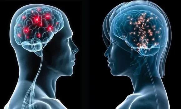 Erkek beyni farklı, kadın beyni farklı çalışıyor