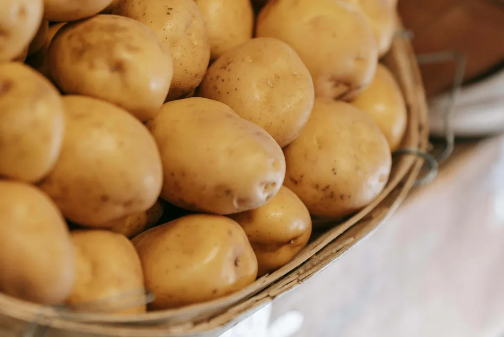 Patates: Besleyici Bir Kök Sebze ve Sağlık Deposu
