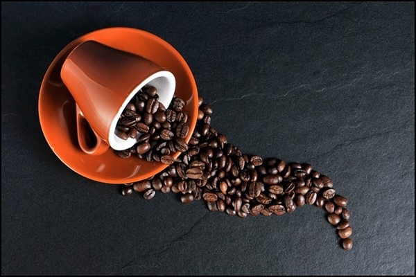 Arabica bitkisi dünya kahve pazarının yüzde 70