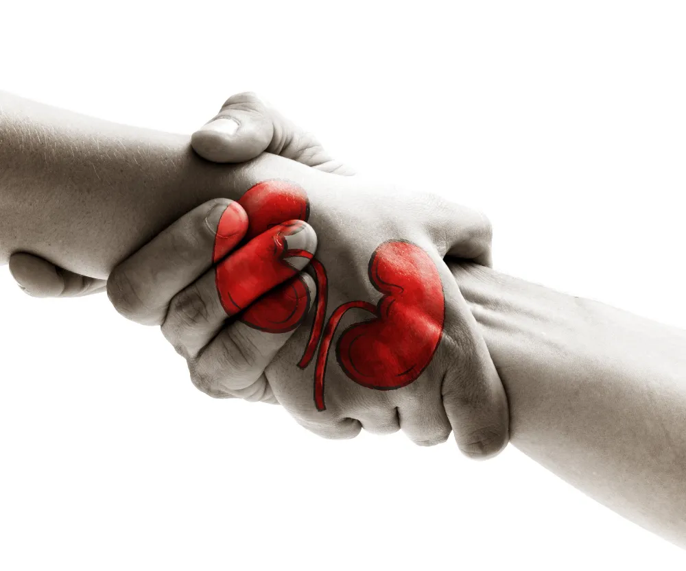 Hayata Tutunmak İçin 28 Bin Organ Bağışı Bekleyen Hasta Var