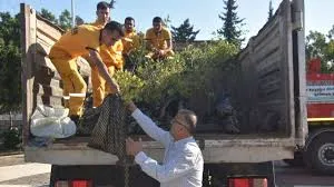 Bozyazı’da Vatandaşlara Fidan Dağıtıldı