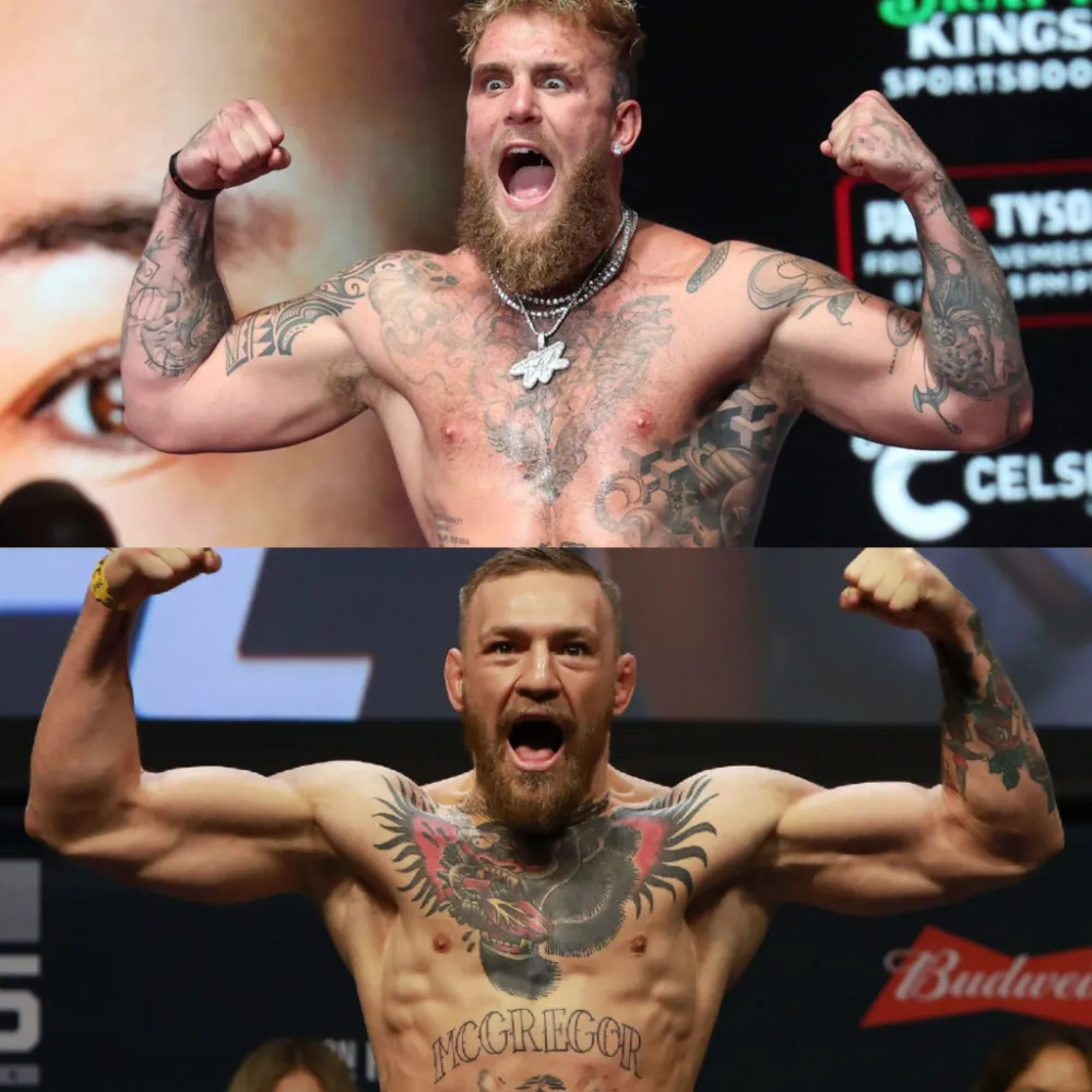 Jake Paul Challenges Conor McGregor to an MMA Fight