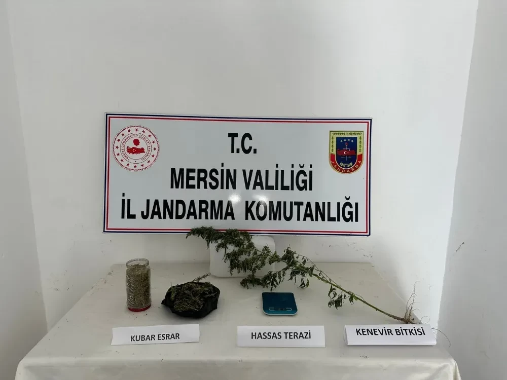 Jandarmadan Uyuşturucu Operasyonu: 3 Şüpheli Yakalandı