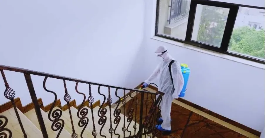 Haşere İlaçlama Nedir ve Neden Gereklidir?