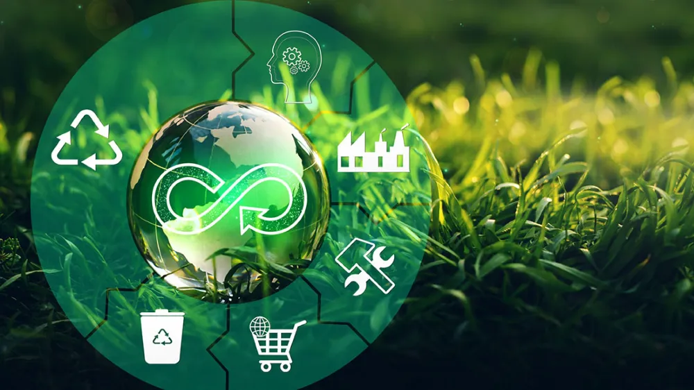 Yaşam Döngüsünün Gizemi: Doğanın Kendini Sürekli Yenileyen Bilimsel Düzeni