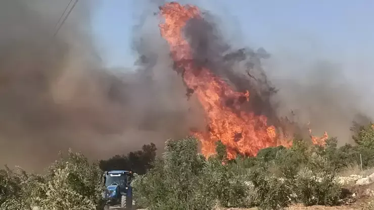 Silifkede Ekipler Yangınla ve Rüzgarla Mücadele Ediyor 4 Mahalle Boşaltıldı