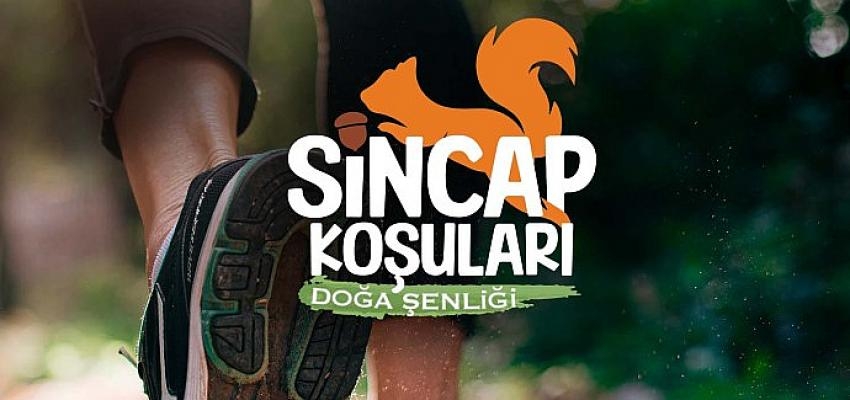 Kocaeli Büyükşehir