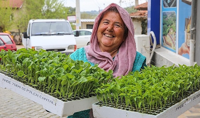 Buca'da Belediye-Kooperatif işbirliği, tarımı canlandırdı