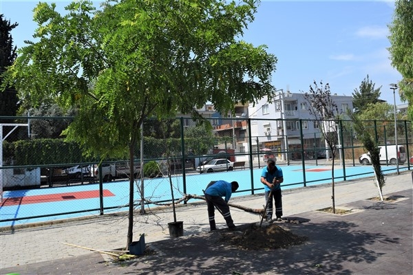 Bornova’da kişi başına 14 metrekare yeşil alan