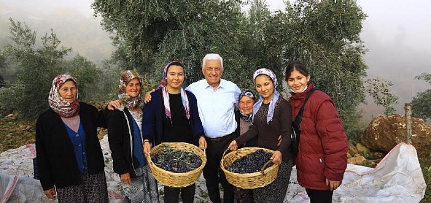 Muğla Büyükşehir Kooperatifleri tek çatı altında topluyor