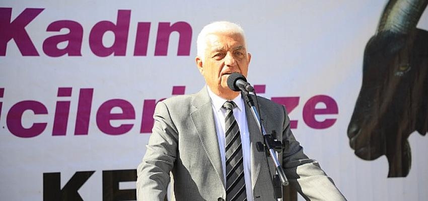 Muğla Büyükşehir’den Yatağan’a Kıl Keçisi Desteği