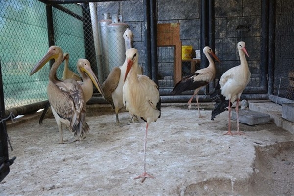 Tarsus Doğa Parkı