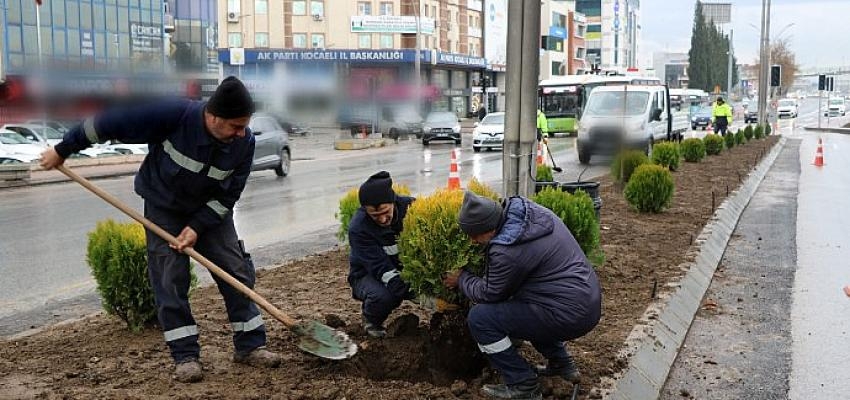 D-100 kuzey yan yolda yeşillendirme çalışması